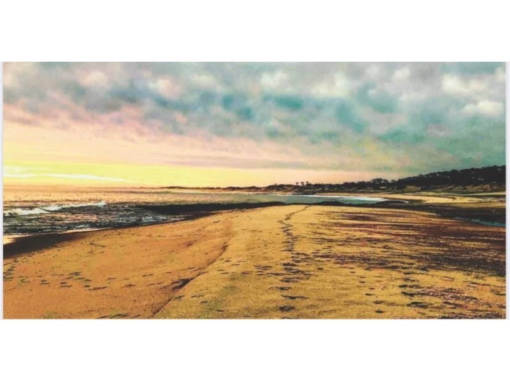 Venta  Punta del Este La Barra