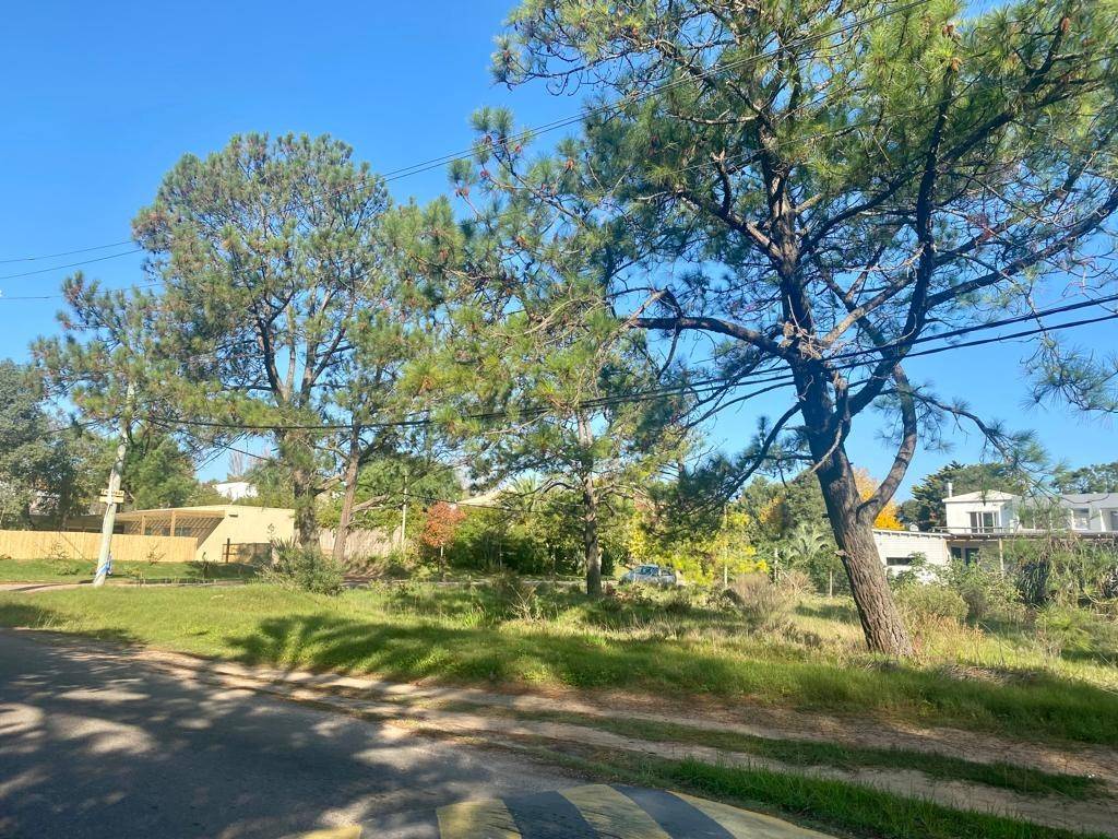 Venta  Punta del Este La Barra