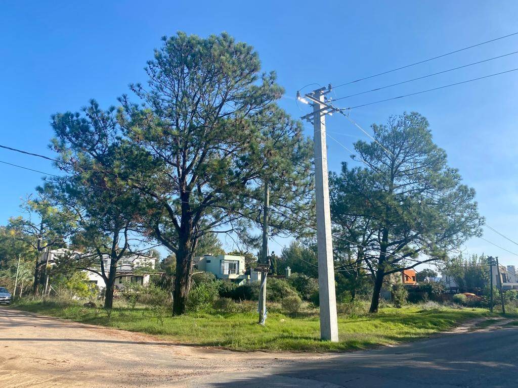 Venta  Punta del Este La Barra