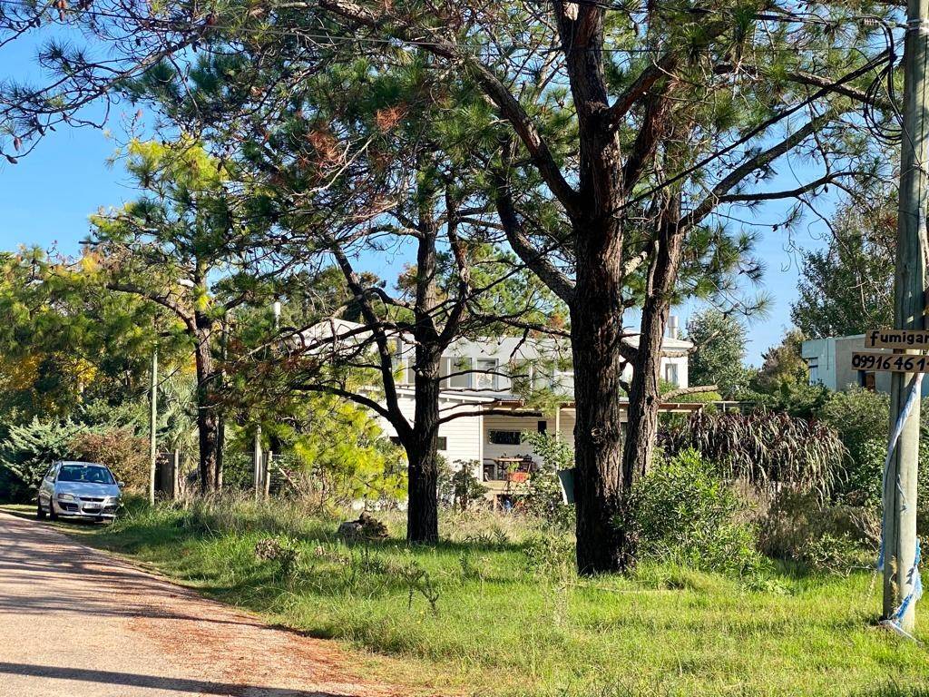 Venta  Punta del Este La Barra