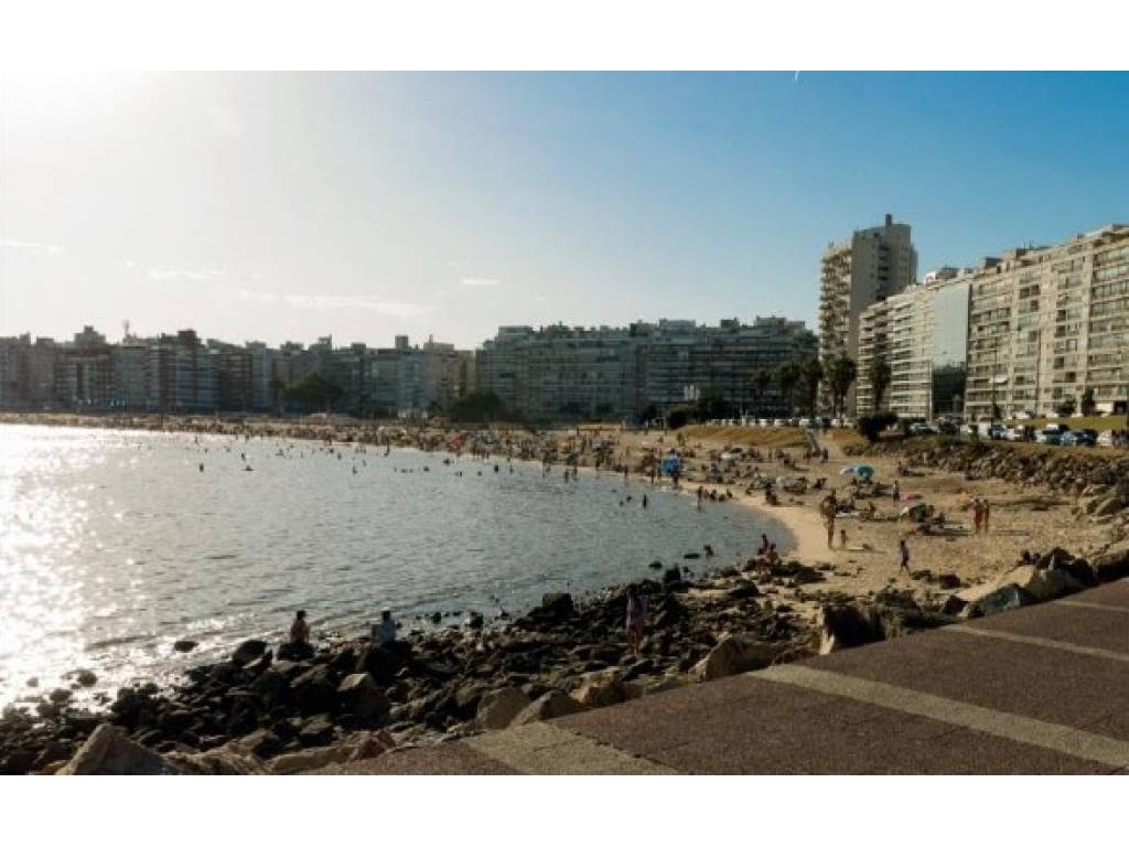 Venta  Montevideo Pocitos