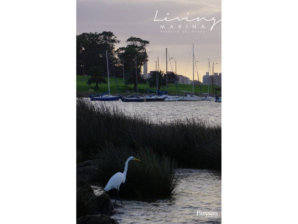 Venta  Montevideo Pocitos