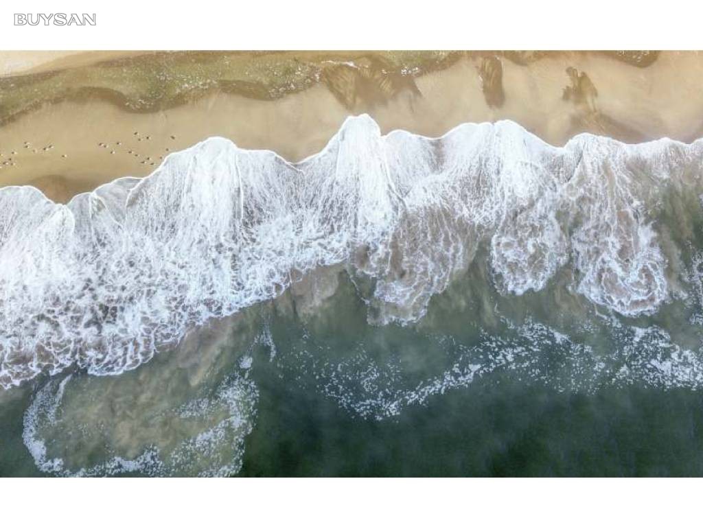 Venta  Punta del Este Mansa