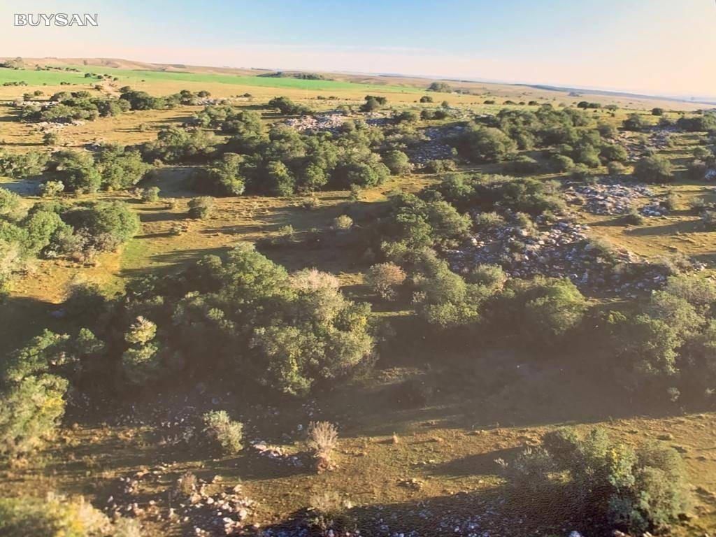 Venta Lavalleja Varios