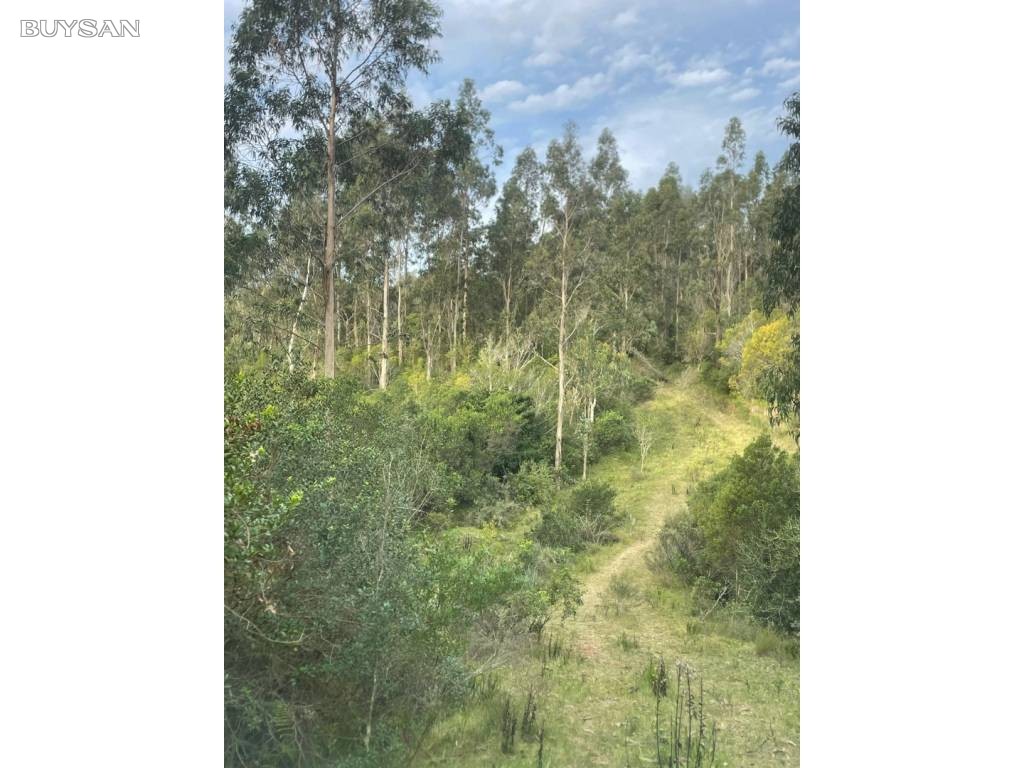 Venta Rocha Varios