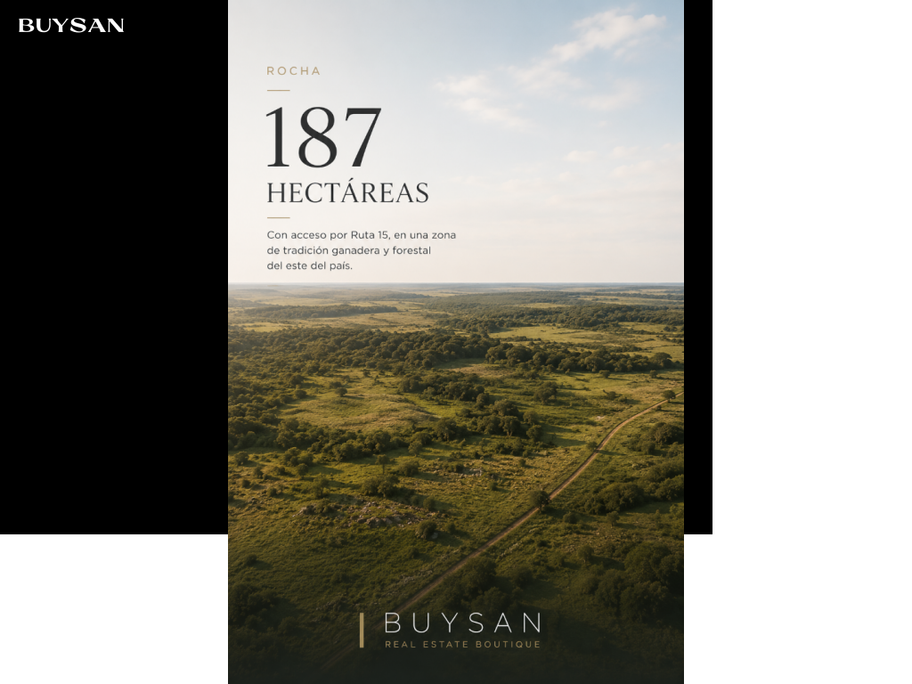 Venta Rocha Varios