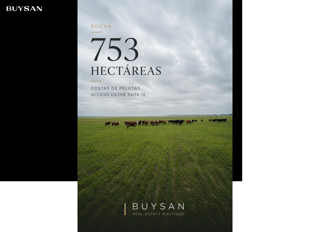 Venta Rocha Varios