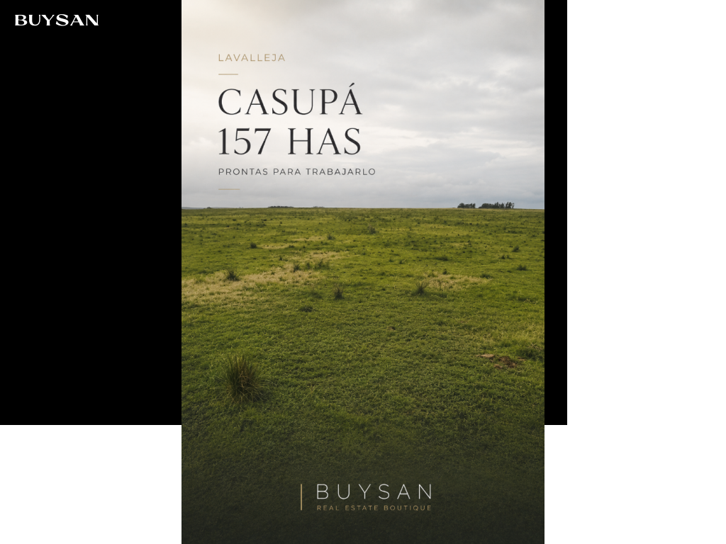 Venta Lavalleja Varios