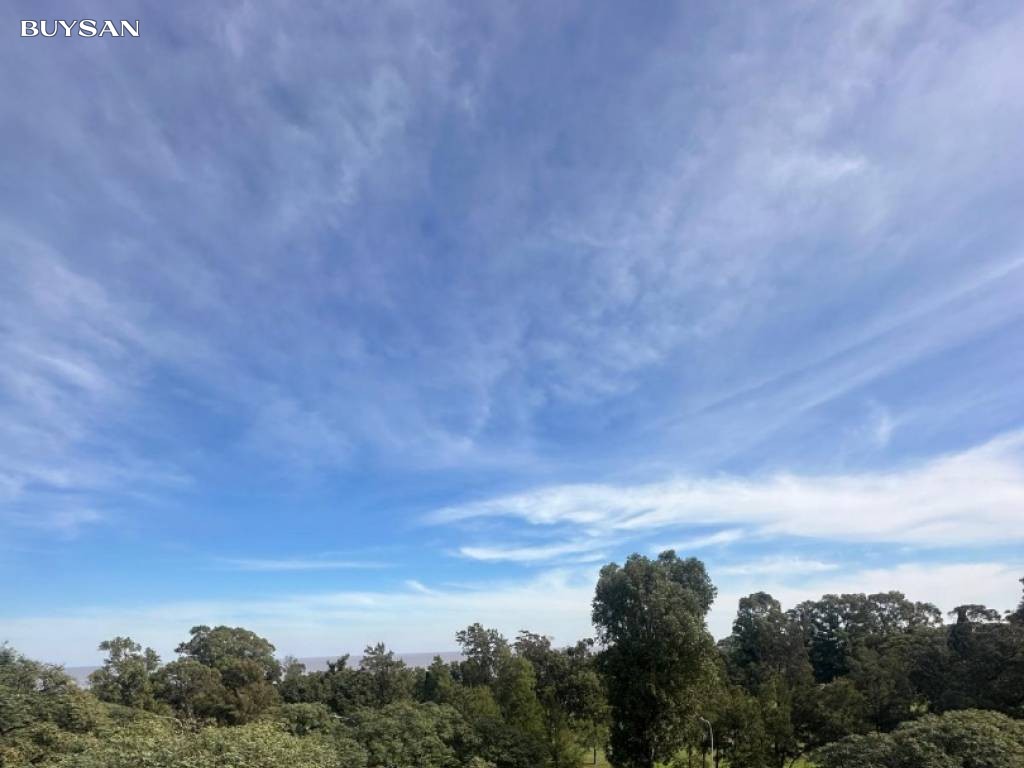 Venta  Montevideo Pocitos