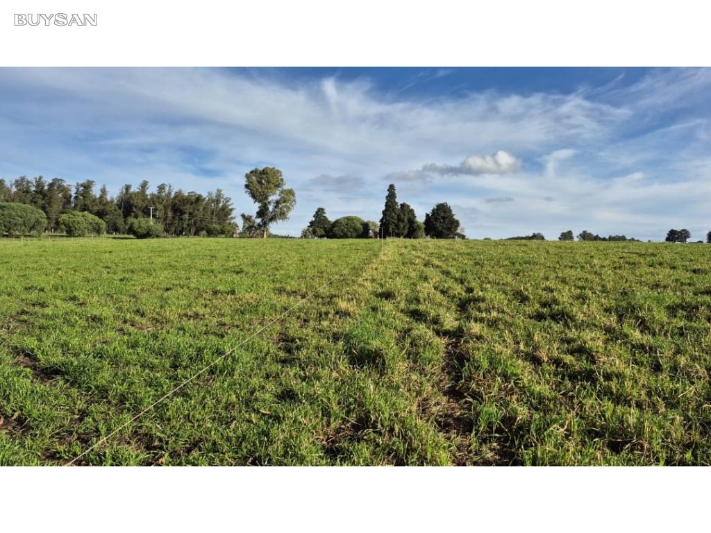 Venta Lavalleja Lavalleja