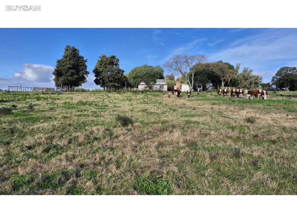 Venta Lavalleja Lavalleja