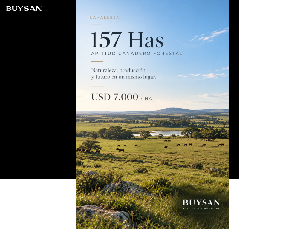 Venta Lavalleja Lavalleja