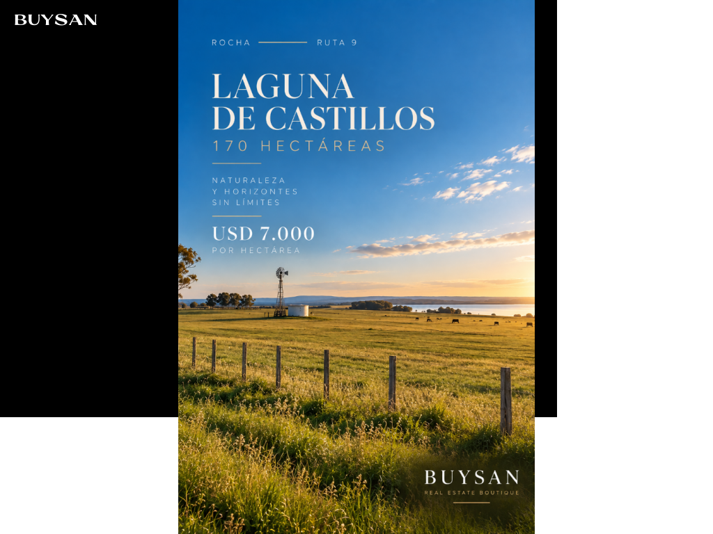 Venta  Rocha Rocha