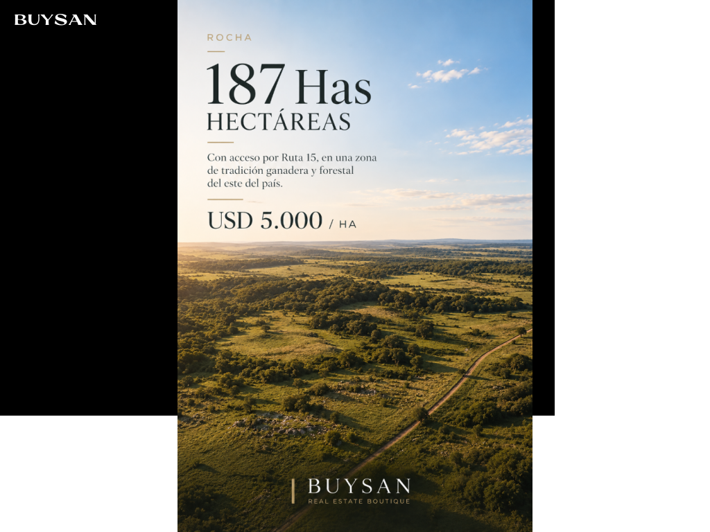 Venta Rocha Rocha