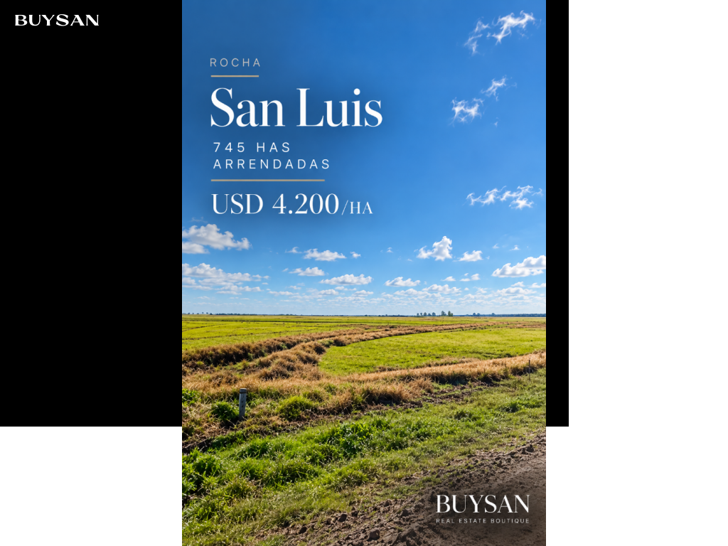 Venta  Rocha Rocha
